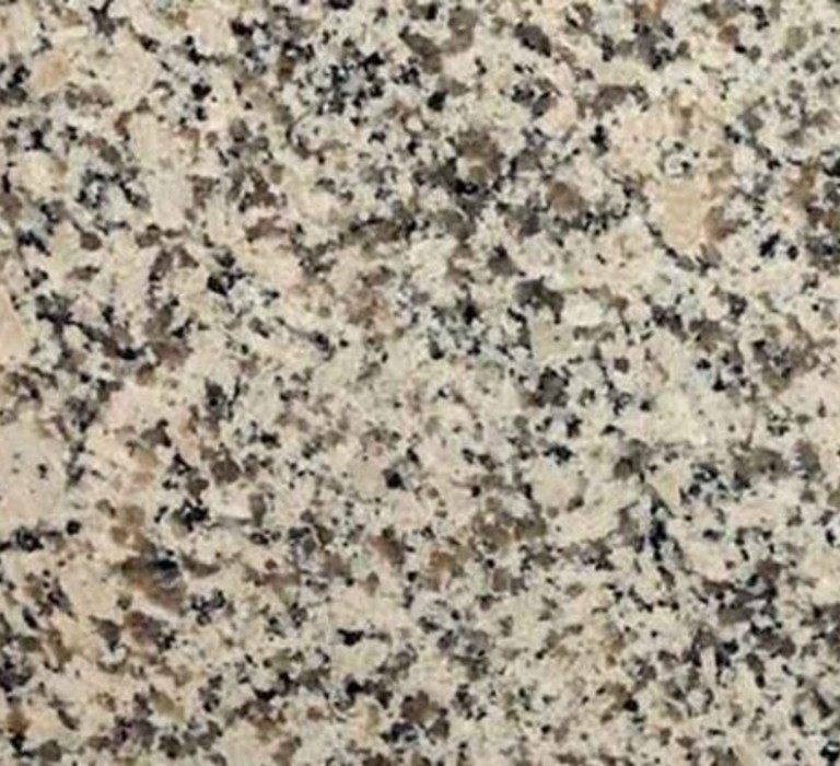 WhatsApp Image 2025-03-24 at 12.19.49_0c0ad36f