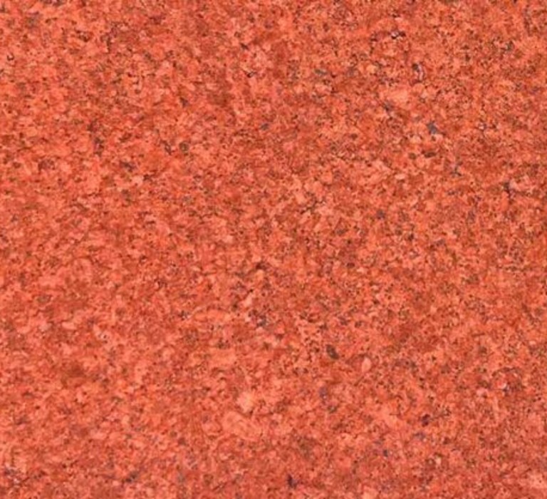 WhatsApp Image 2025-03-24 at 12.19.49_ebac06a8